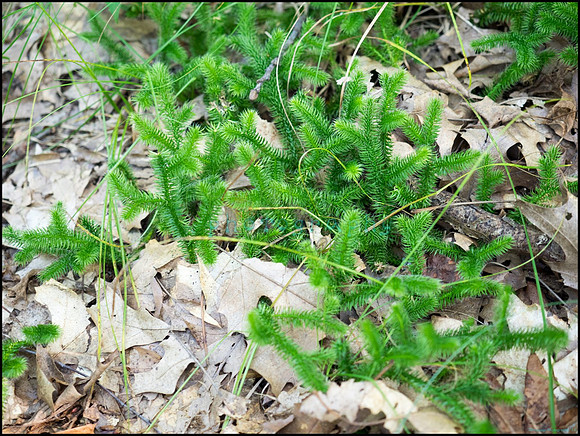 p8140097_web
