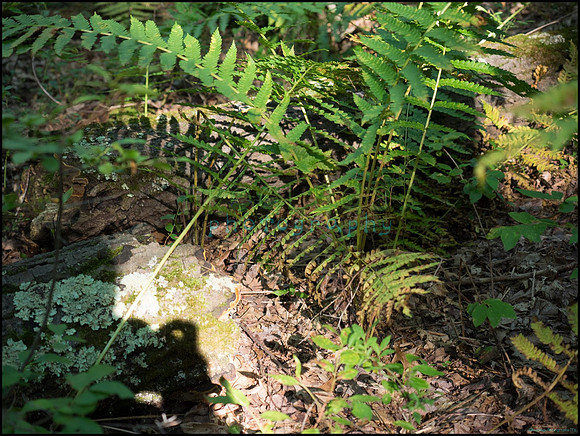 p8140193_web
