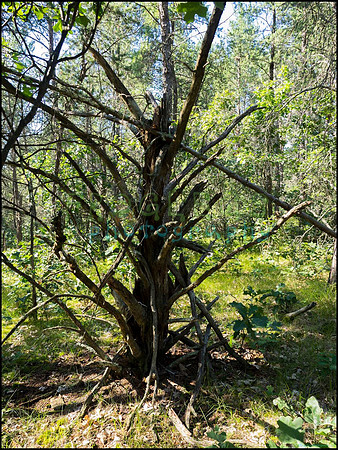 p8140130_web
