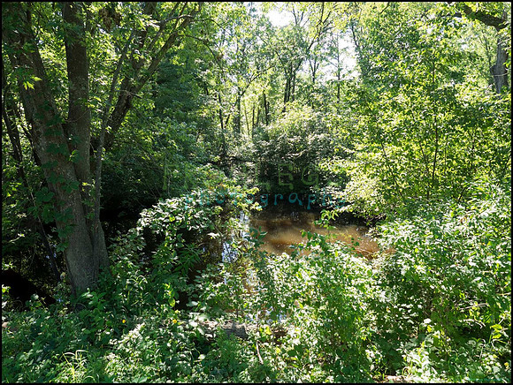 p8140046_web