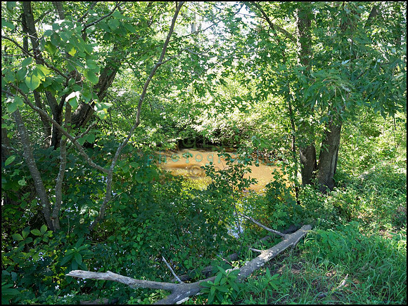 p8140047_web