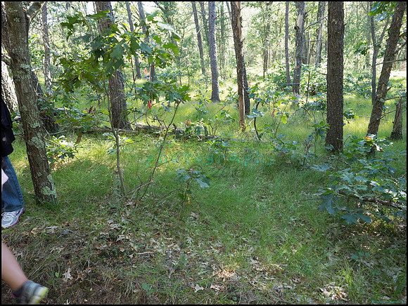 p8140136_web