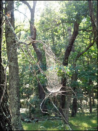 p8140206_web