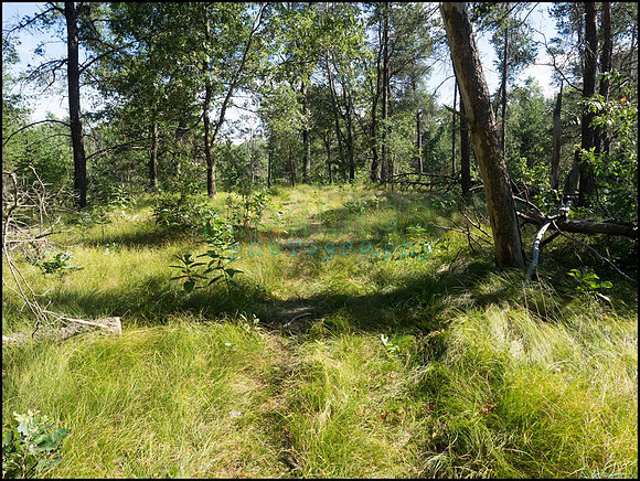 p8140165_web