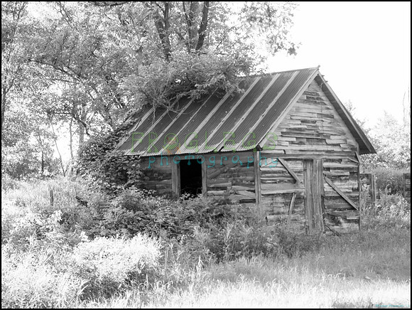 p8140238_web