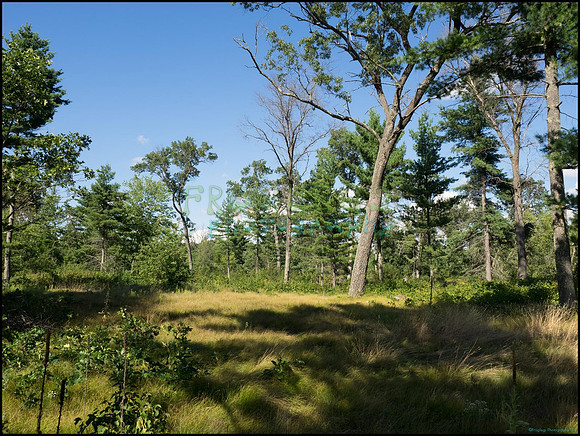 p8140059_web