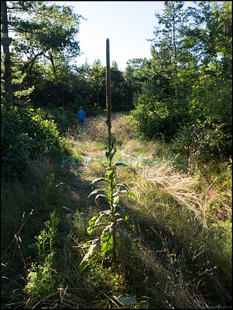 p8140236_web