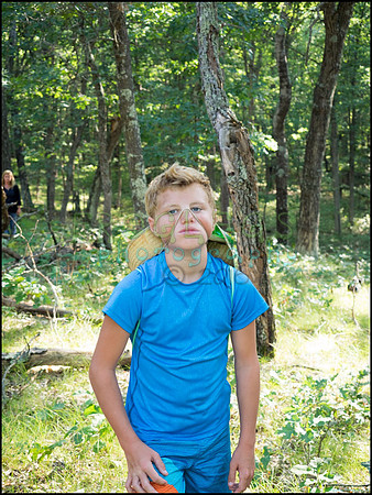 p8140211_web