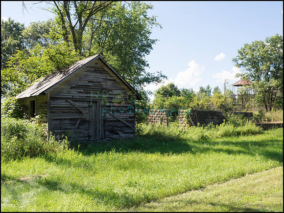 p8140043_web