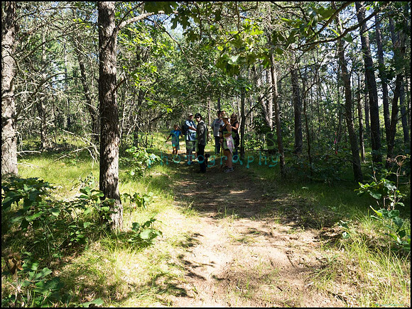 p8140133_web