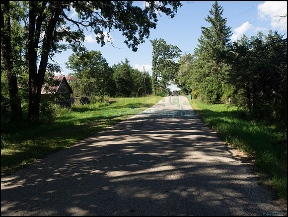 p8140044_web