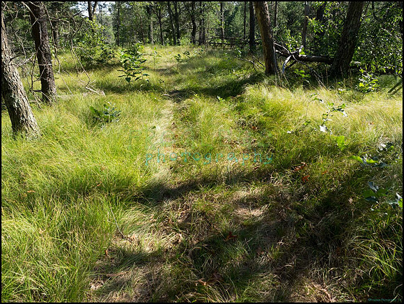 p8140159_web
