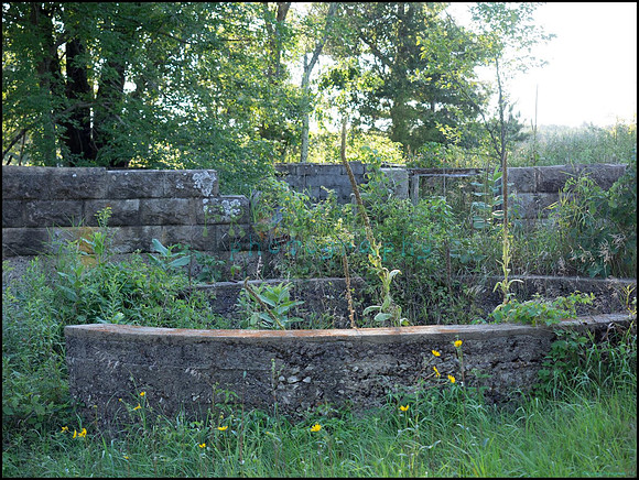 p8140255_web
