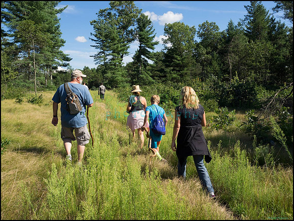 p8140057_web