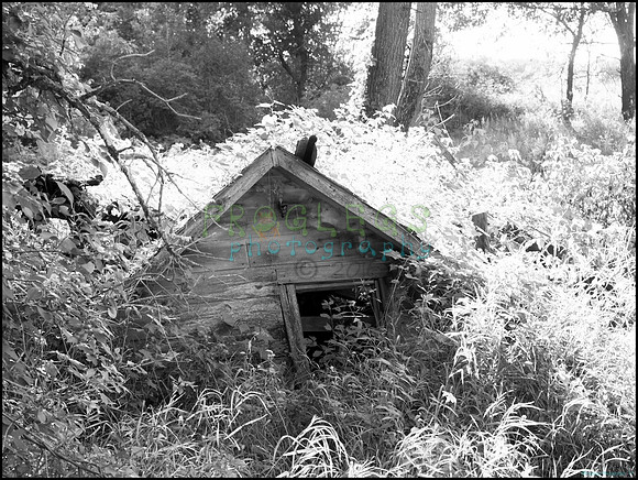 p8140239_1_web