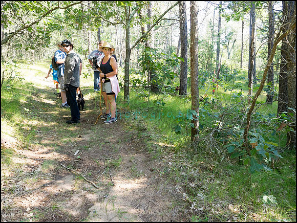 p8140132_web