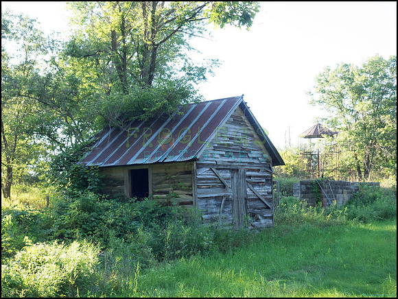 p8140243_1_web