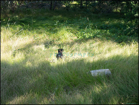 p8140072_web