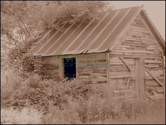 P8140240_web