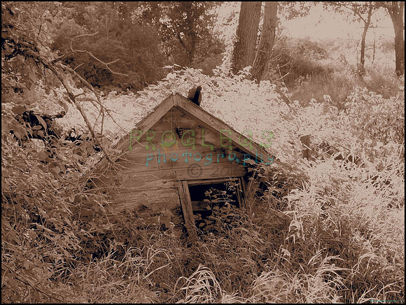 P8140239_web