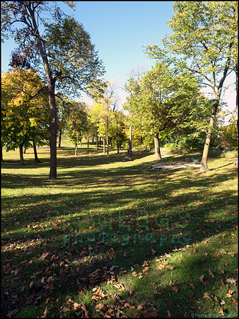 Br_Wayside_23_web