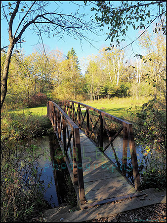 Spruce_Hill_15_web