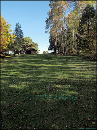 Spruce_Hill_07_web