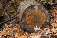 Starved Rock State Park