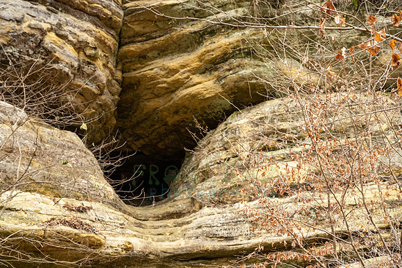 FRG_5715