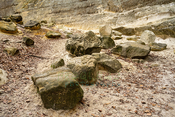 FRG_5751