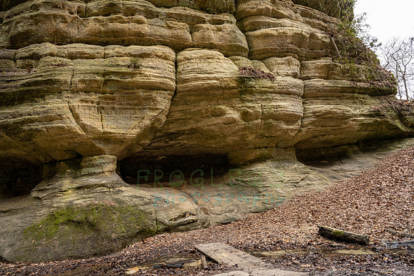 FRG_5757