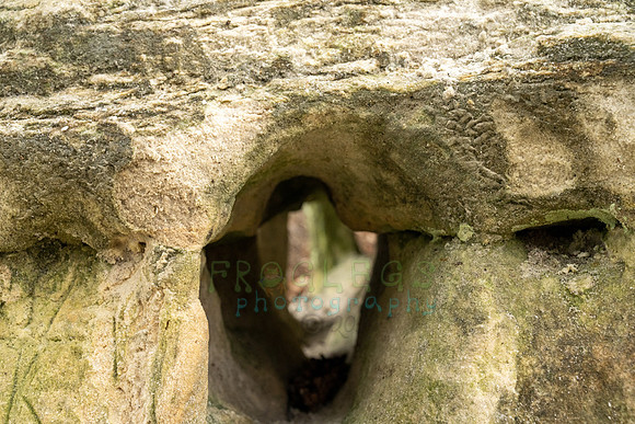 FRG_5782