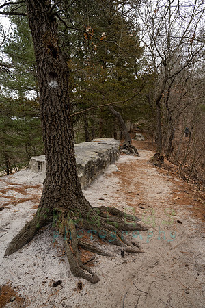 FRG_5795
