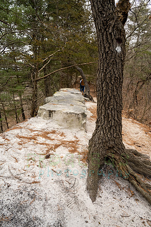 FRG_5794