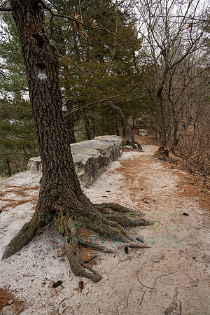 FRG_5796