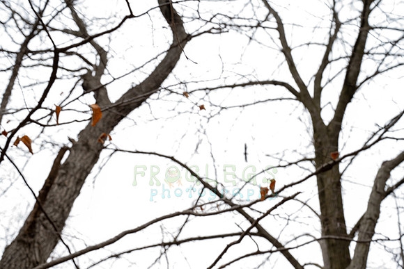 FRG_5802