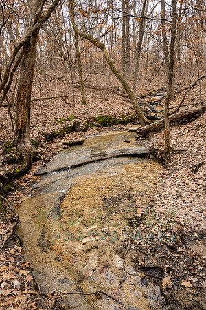 FRG_5821