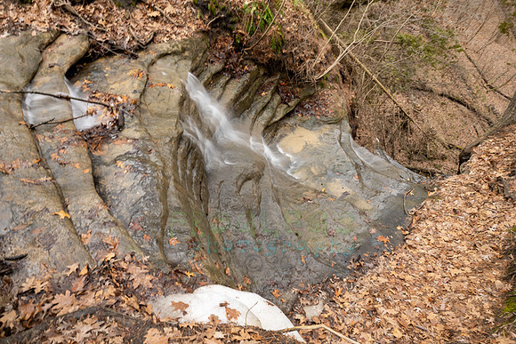 FRG_5829