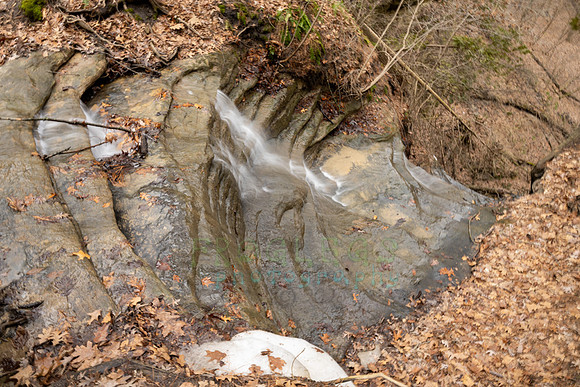 FRG_5830