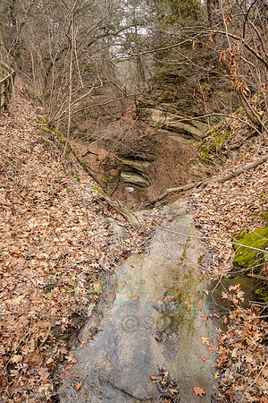 FRG_5852