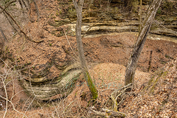 FRG_5841