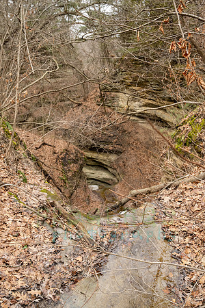 FRG_5853