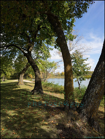 Chippewa_52_web
