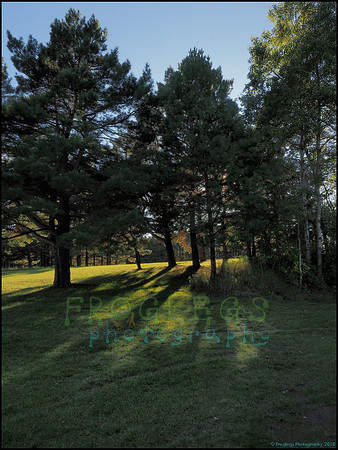 Spruce_Hill_26_web