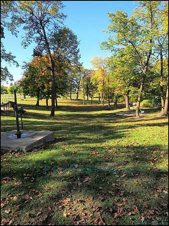 Br_Wayside_34_web