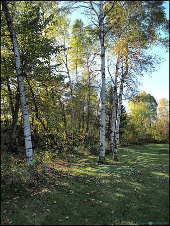 Spruce_Hill_02_web