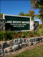 Br_Wayside_07_web