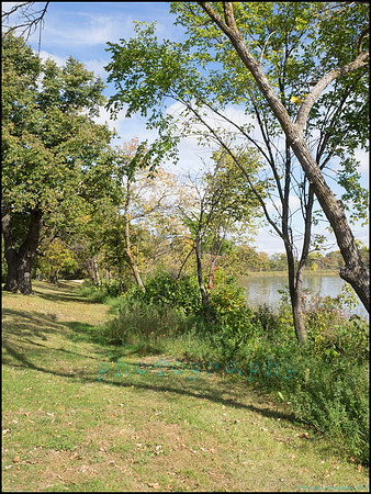 Chippewa_46_web