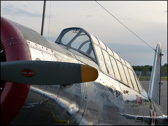 P1100761_web