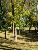 Br_Wayside_13_web